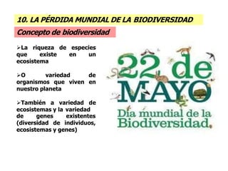 La riqueza de especies
que existe en un
ecosistema
O variedad de
organismos que viven en
nuestro planeta
También a variedad de
ecosistemas y la variedad
de genes
(diversidad de
existentes
individuos,
ecosistemas y genes)
10. LA PÉRDIDA MUNDIAL DE LA BIODIVERSIDAD
Concepto de biodiversidad
 