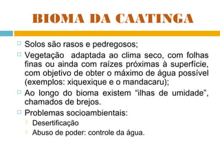 BIOMA DA CAATINGA







Solos são rasos e pedregosos;
Vegetação adaptada ao clima seco, com folhas
finas ou ainda com raízes próximas à superfície,
com objetivo de obter o máximo de água possível
(exemplos: xiquexique e o mandacaru);
Ao longo do bioma existem “ilhas de umidade”,
chamados de brejos.
Problemas socioambientais:



Desertificação
Abuso de poder: controle da água.

 
