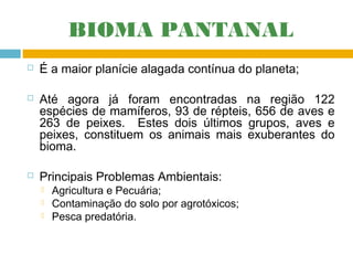 BIOMA PANTANAL






É a maior planície alagada contínua do planeta;
Até agora já foram encontradas na região 122
espécies de mamíferos, 93 de répteis, 656 de aves e
263 de peixes. Estes dois últimos grupos, aves e
peixes, constituem os animais mais exuberantes do
bioma.
Principais Problemas Ambientais:




Agricultura e Pecuária;
Contaminação do solo por agrotóxicos;
Pesca predatória.

 