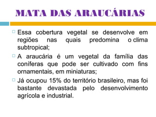 MATA DAS ARAUCÁRIAS






Essa cobertura vegetal se desenvolve em
regiões nas quais predomina o clima
subtropical;
A araucária é um vegetal da família das
coníferas que pode ser cultivado com fins
ornamentais, em miniaturas;
Já ocupou 15% do território brasileiro, mas foi
bastante devastada pelo desenvolvimento
agrícola e industrial.

 