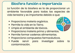 La función de la biosfera es la de proporcionar un
ambiente favorable para todas las especies de
vida terrestre y es importante debido a que:
Proporciona materia orgánica.
Permite la vida en la Tierra.
Limpia el ambiente de tóxicos.
Proporciona materia prima y alimentos.
Permite formar cadenas alimentarias.
Proporciona compuestos farmacéuticos.
Puede servir para investigar sobre la
contaminación.
Biosfera función e importancia
 