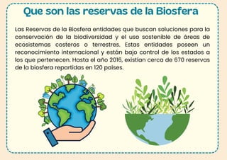 Que son las reservas de la Biosfera
Las Reservas de la Biosfera entidades que buscan soluciones para la
conservación de la biodiversidad y el uso sostenible de áreas de
ecosistemas costeros o terrestres. Estas entidades poseen un
reconocimiento internacional y están bajo control de los estados a
los que pertenecen. Hasta el año 2016, existían cerca de 670 reservas
de la biosfera repartidas en 120 países.
 