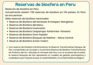 Reservas de biosfera en Peru
Reservas de biosfera en Perú
Actualmente existen 738 reservas de biosfera en 134 países. En Perú
se encuentran:
Siete reservas de biosfera nacionales:
Reserva de Biosfera del Noroeste Amotapes-Manglares
Reserva de Biosfera del Manu
Reserva de Biosfera Huascarán
Reserva de Biosfera Oxapampa-Asháninka-Yánesha
Reserva de Biosfera Gran Pajatén
Reserva de Biosfera Bosques de Neblina - Selva Central
Reserva de Biosfera Avireri Vraem
Una reserva de biosfera transfronteriza: la Reserva Transfronteriza Bosque de
Paz, compartida con Ecuador y la primera Reserva de Biosfera Transfronteriza
de América del Sur. Ubicada al noroeste del Perú y en el suroeste de Ecuador,
la reserva Bosques de Paz representa un modelo de gestión participativa y
ciudadana que impulsa la paz, la sostenibilidad y la conectividad ecológica.
 