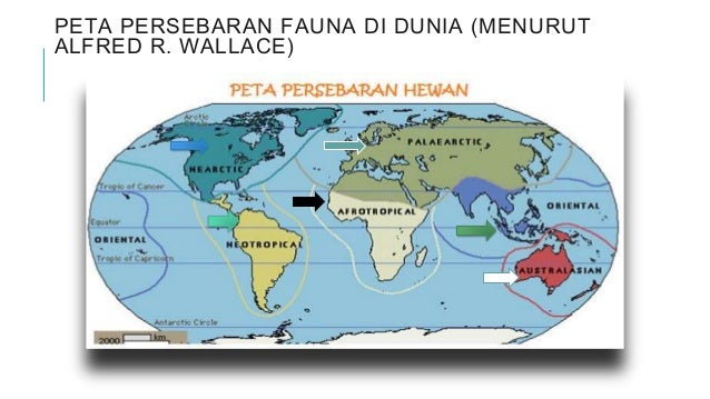 Biosfer Mpg Anna 1002975 Geo 2010