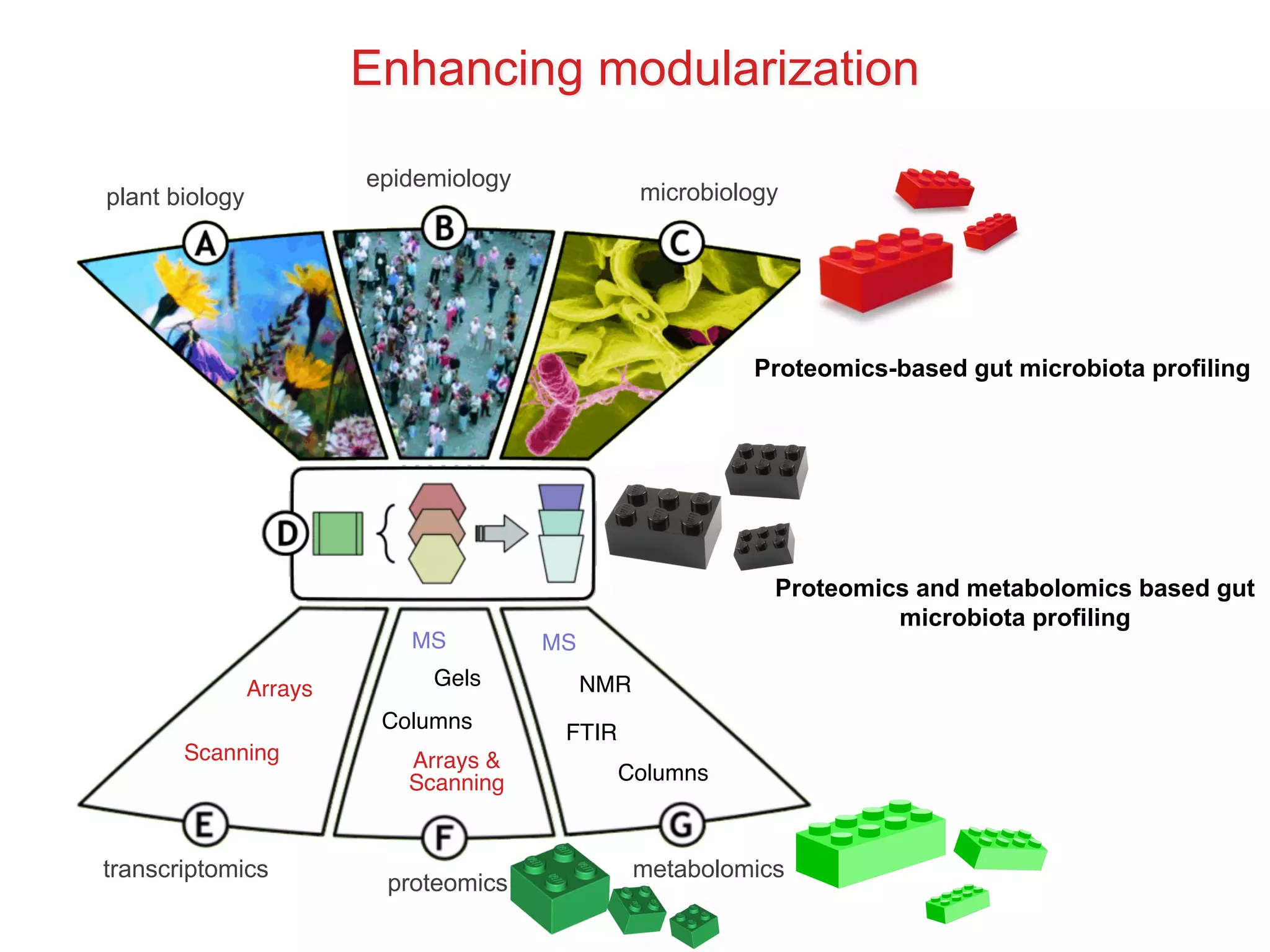 Arrays
Scanning Arrays &
Scanning
Columns
Gels
MS MS
FTIR
NMR
Columns
transcriptomics
proteomics
metabolomics
plant biology
epidemiology
microbiology
Enhancing modularization
Proteomics-based gut microbiota profiling
Proteomics and metabolomics based gut
microbiota profiling
 
