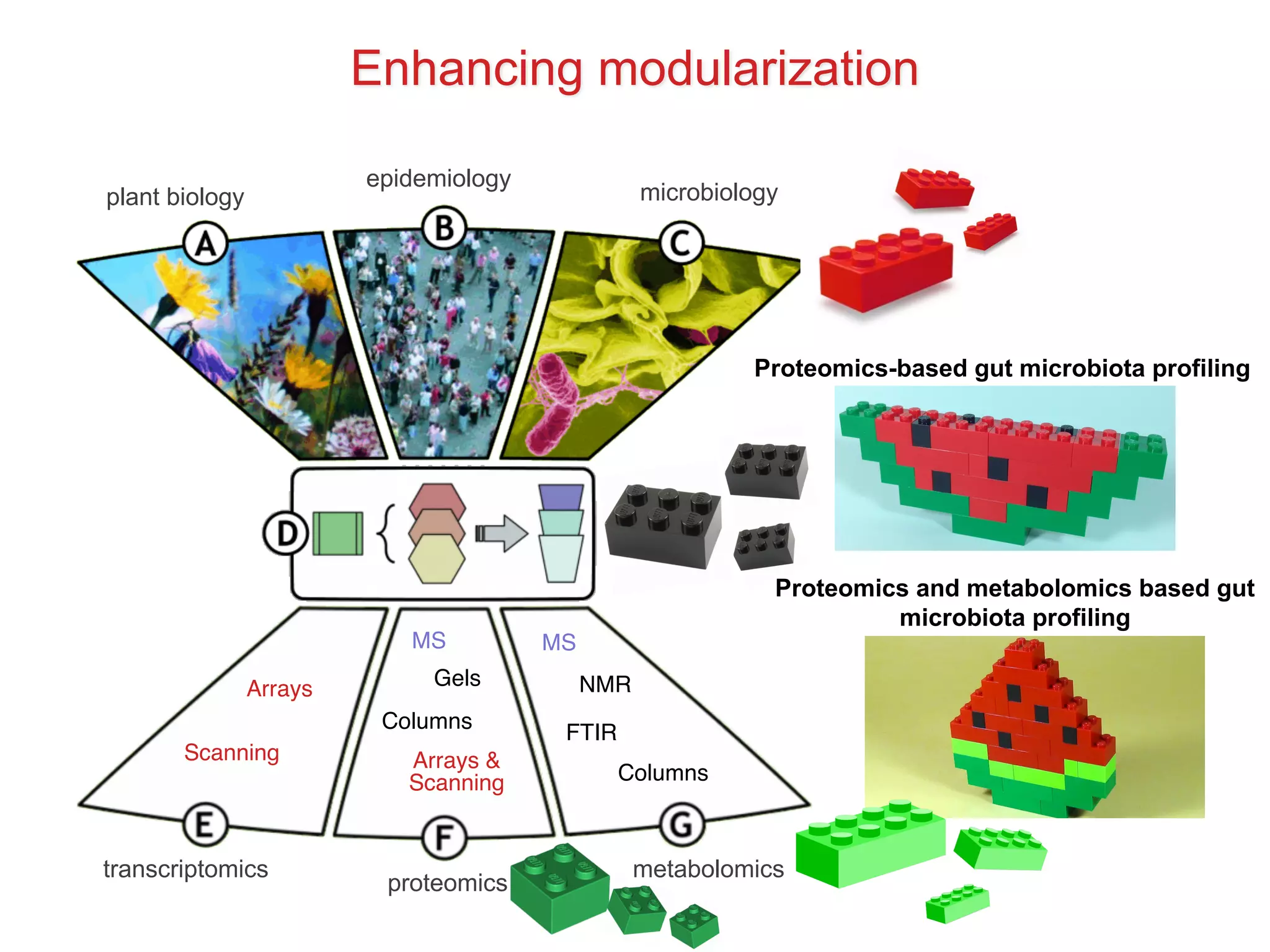 Arrays
Scanning Arrays &
Scanning
Columns
Gels
MS MS
FTIR
NMR
Columns
transcriptomics
proteomics
metabolomics
plant biology
epidemiology
microbiology
Proteomics-based gut microbiota profiling
Proteomics and metabolomics based gut
microbiota profiling
Enhancing modularization
 