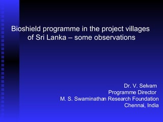 Bioshield programme in the project villages  of Sri Lanka – some observations Dr. V. Selvam Programme Director  M. S. Swaminathan Research Foundation Chennai, India 