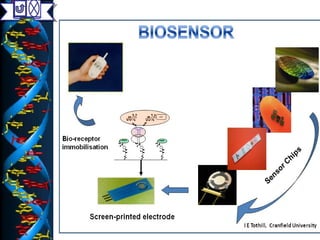 BIOSENSORS | PPT