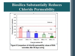 Biosilica Substantially Reduces
    Chloride Permeability
 