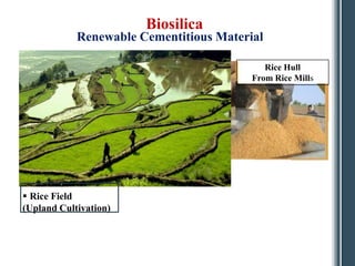 Biosilica
            Renewable Cementitious Material

                                            Rice Hull
                                         From Rice Mills




 Rice Field
(Upland Cultivation)
 