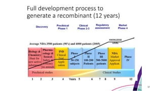 Full development process to
generate a recombinant (12 years)
12
 