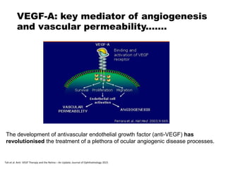 VEGF-A: key mediator of angiogenesis
and vascular permeability.......
The development of antivascular endothelial growth factor (anti-VEGF) has
revolutionised the treatment of a plethora of ocular angiogenic disease processes.
Tah et al. Anti- VEGF Therapy and the Retina – An Update; Journal of Ophthalmology 2015
 