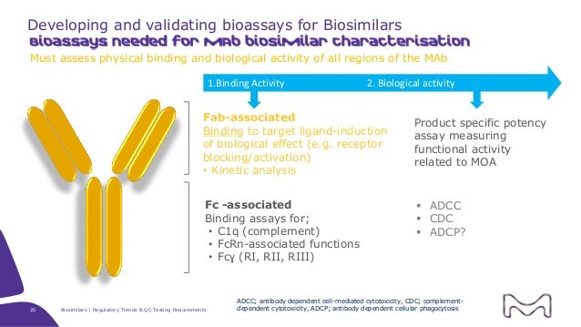 kinetic sand composition of Control Biosimilars: Regulatory Trends Testing Quality Requiremen⦠and kinetic sand composition of Control Biosimilars: Regulatory Trends Testing Quality Requiremen⦠and