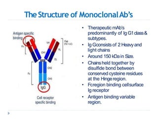 TheStructure of MonoclonalAb’s
• Therapeutic mAb’s
predominantly of Ig G1class&
subtypes.
• Ig Gconsists of 2 Heavyand
light chains
• Around 150 kDain Size.
• Chainsheld together by
disulfide bond between
conserved cysteine residues
at the Hingeregion.
• Fcregion binding cellsurface
Ig receptor
• Antigen binding variable
region.
 