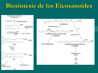 Biosíntesis de los Eicosanoides 