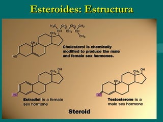 Esteroides: Estructura 