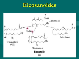 Eicosanoides 