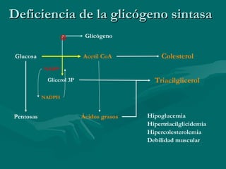 Deficiencia de la glicógeno sintasa Hipoglucemia Hipertriacilglicidemia Hipercolesterolemia Debilidad muscular Glucosa Glicógeno Acetil CoA  Glicerol 3P Pentosas NADPH NADP + Ácidos grasos Triacilglicerol Colesterol 
