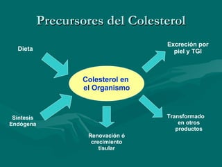 Precursores del Colesterol Colesterol en  el Organismo Dieta Síntesis Endógena Excreción por piel y TGI Transformado  en otros productos Renovación ó crecimiento tisular 