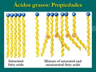 Ácidos grasos: Propiedades 