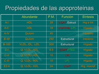 Propiedades de las apoproteinas Abundante P.M. Función Síntesis A-I HDL 28 LCAT , Estruct Hig e Int A-II  HDL 18 LCAT   HL,  LPL Hígado A-IV Quilom 45 Intestino B-48 Quilom 250 Estructural Intestino B-100 VLDL, IDL,  LDL 500 Estructural Hígado C-I Q, VLDL- HDL 6.5 LCAT  PTEC Hígado C-II Q, VLDL- HDL 10 LPL Hígado C-III Q, VLDL- HDL 10 LPL Hígado E2-4 Q, VLDL- HDL 34 LCAT  Híg, macrof 