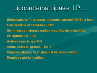 Lipoproteína Lipasa  LPL Sintetizada en T. adiposo, músculo, adrenal, Riñón e Inst. Esta anclada al heparan sulfato  Se inhibe con cloruro sodico y sulfato de protamina PH optimo 8,0 – 8,5 Activada por la apo C-II Actúa sobre A. grasos  sn -1 Heparina libera a la enzima del heparan sulfato Regulada por la insulina 