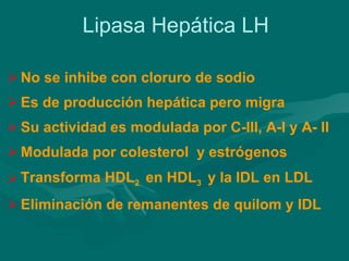 Lipasa Hepática LH No se inhibe con cloruro de sodio  Es de producción hepática pero migra Su actividad es modulada por C-III, A-I y A- II Modulada por colesterol  y estrógenos Transforma HDL 2  en HDL 3  y la IDL en LDL Eliminación de remanentes de quilom y IDL  
