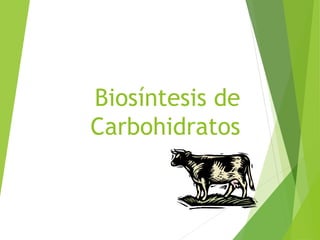 Biosíntesis de 
Carbohidratos 
 