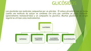 GLICÓSIDOS
GLICÓSIDOS
SAPONINAS
GLICOSIDOS
CARDIACOS
GLICOSIDOS
CIANOGENICOS
GLUCOSINOLATOS
Los glucósidos son moléculas compuestas por un glúcidos. El enlace glicosídico que se forma
cuando una molécula de azúcar se condensa con otra que contiene un grupo hidroxilo.
(generalmente monosacáridos) y un compuesto no glucídico. Muchos glucósidos de origen
vegetal se utilizan como medicamentos.
 