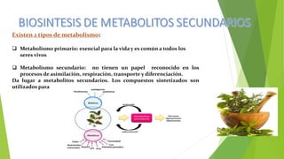 Existen 2 tipos de metabolismo:
 Metabolismo primario: esencial para la vida y es común a todos los
seres vivos
 Metabolismo secundario: no tienen un papel reconocido en los
procesos de asimilación, respiración, transporte y diferenciación.
Da lugar a metabolitos secundarios. Los compuestos sintetizados son
utilizados para
 