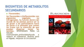  Flavonoides:
los flavonoides o bioflavonoides son
pigmentos vegetales no
nitrogenados. Su función dentro del
mundo de las plantas parece ser la
de atraer a los polinizadores hacia
las flores o lo animales que comen
los frutos con la intención de que
puedan dispersar mejor las
semillas. RPOPIEDAES PARA LA
SALUD:
nutricionales,antioxidateAyuda a
reducir el colesterol, Buenos para
el hígado, mejoran la circulacion
 