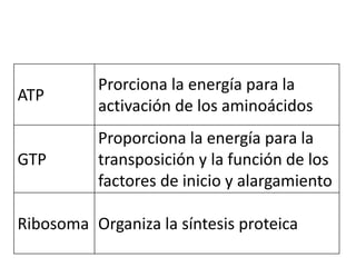 ATP
Prorciona la energía para la
activación de los aminoácidos
GTP
Proporciona la energía para la
transposición y la función de los
factores de inicio y alargamiento
Ribosoma Organiza la síntesis proteica
 