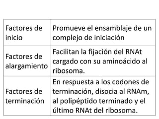 Factores de
inicio
Promueve el ensamblaje de un
complejo de iniciación
Factores de
alargamiento
Facilitan la fijación del RNAt
cargado con su aminoácido al
ribosoma.
Factores de
terminación
En respuesta a los codones de
terminación, disocia al RNAm,
al polipéptido terminado y el
último RNAt del ribosoma.
 