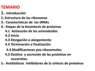 TEMARIO
1.- Introducción
2.-Estructura de los ribosomas
3.- Características de los tRNAs
4.- Etapas de la biosíntesis de proteínas
4.1 Activación de los aminoácidos
4.2 Inicio
4.3 Elongación o alargamiento
4.4 Terminación o finalización
4.4 Modificaciones pos-ribosomales.
4.5 Destino y secreción de las proteínas en
eucariotas.
5.- Antibióticos inhibidores de la síntesis de proteínas
 