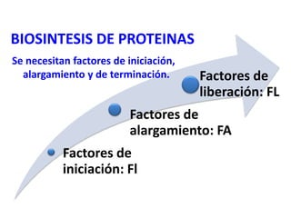 Factores de
iniciación: Fl
Factores de
alargamiento: FA
Factores de
liberación: FL
BIOSINTESIS DE PROTEINAS
Se necesitan factores de iniciación,
alargamiento y de terminación.
 
