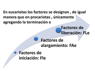 En eucariotas los factores se designan , de igual
manera que en procariotas , únicamente
agregando la terminación e
Factores de
iniciación: Fle
Factores de
alargamiento: FAe
Factores de
liberación: FLe
 