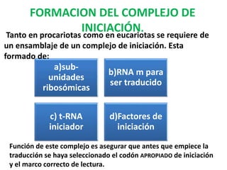 FORMACION DEL COMPLEJO DE
INICIACIÓN.
Función de este complejo es asegurar que antes que empiece la
traducción se haya seleccionado el codón APROPIADO de iniciación
y el marco correcto de lectura.
a)sub-
unidades
ribosómicas
b)RNA m para
ser traducido
c) t-RNA
iniciador
d)Factores de
iniciación
Tanto en procariotas como en eucariotas se requiere de
un ensamblaje de un complejo de iniciación. Esta
formado de:
 