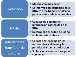 • Mecanismo molecular
• La información contenida en el
RNA es descifrada y empleada
para la síntesis de una proteína
Traducción
• Capaces de descifrar la
información contenida en el
RNA
• Determinan el orden de los aa
en la síntesis proteica
t-RNA
• Conocen el lenguaje de los
nucleótidos y el de aa y les
permite realizar la traduccion
• Su función es unirse ó cargarse
con un aa
Adaptadores
Transferencia
solubles
 
