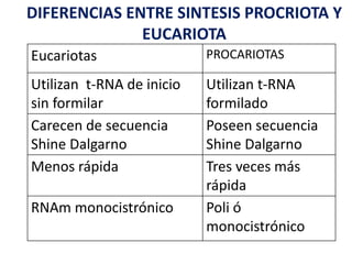 Eucariotas PROCARIOTAS
Utilizan t-RNA de inicio
sin formilar
Utilizan t-RNA
formilado
Carecen de secuencia
Shine Dalgarno
Poseen secuencia
Shine Dalgarno
Menos rápida Tres veces más
rápida
RNAm monocistrónico Poli ó
monocistrónico
DIFERENCIAS ENTRE SINTESIS PROCRIOTA Y
EUCARIOTA
 