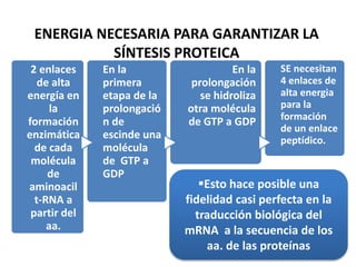 ENERGIA NECESARIA PARA GARANTIZAR LA
SÍNTESIS PROTEICA
2 enlaces
de alta
energía en
la
formación
enzimática
de cada
molécula
de
aminoacil
t-RNA a
partir del
aa.
En la
primera
etapa de la
prolongació
n de
escinde una
molécula
de GTP a
GDP
En la
prolongación
se hidroliza
otra molécula
de GTP a GDP
SE necesitan
4 enlaces de
alta energia
para la
formación
de un enlace
peptídico.
Esto hace posible una
fidelidad casi perfecta en la
traducción biológica del
mRNA a la secuencia de los
aa. de las proteínas
 