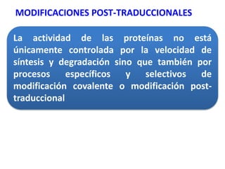 La actividad de las proteínas no está
únicamente controlada por la velocidad de
síntesis y degradación sino que también por
procesos específicos y selectivos de
modificación covalente o modificación post-
traduccional
MODIFICACIONES POST-TRADUCCIONALES
 