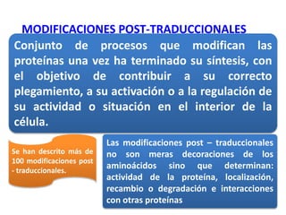 Conjunto de procesos que modifican las
proteínas una vez ha terminado su síntesis, con
el objetivo de contribuir a su correcto
plegamiento, a su activación o a la regulación de
su actividad o situación en el interior de la
célula.
MODIFICACIONES POST-TRADUCCIONALES
Se han descrito más de
100 modificaciones post
- traduccionales.
Las modificaciones post – traduccionales
no son meras decoraciones de los
aminoácidos sino que determinan:
actividad de la proteína, localización,
recambio o degradación e interacciones
con otras proteínas
 