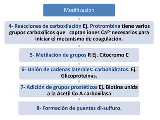 Modificación
4- Reacciones de carboxilación Ej. Protrombina tiene varios
grupos carboxílicos que captan iones Ca2+ necesarios para
iniciar el mecanismo de coagulación.
5- Metilación de grupos R Ej. Citocromo C
6- Unión de cadenas laterales: carbohidratos. Ej.
Glicoproteínas.
7- Adición de grupos prostéticos Ej. Biotina unida
a la Acetil Co A carboxilasa
8- Formación de puentes di-sulfuro.
 