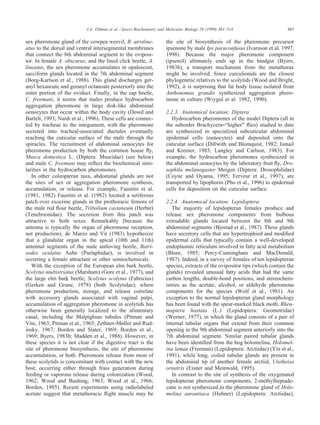 485J.A. Tillman et al. / Insect Biochemistry and Molecular Biology 29 (1999) 481–514
sex pheromone gland of the cowpea weevil, B. atroline-
atus to the dorsal and ventral intersegmental membranes
that connect the 8th abdominal segment to the oviposi-
tor. In female A. obscurus, and the lined click beetle, A.
lineatus, the sex pheromone accumulates in opalescent,
sacciform glands located in the 7th abdominal segment
(Borg-Karlson et al., 1988). This gland discharges ger-
anyl hexanoate and geranyl octanoate posteriorly into the
outer portion of the oviduct. Finally, in the sap beetle,
C. freemani, it seems that males produce hydrocarbon
aggregation pheromone in large disk-like abdominal
oenocytes that occur within the body cavity (Dowd and
Bartelt, 1993; Nardi et al., 1996). These cells are connec-
ted by tracheae to the integument, with the pheromone
secreted into tracheal-associated ductules eventually
reaching the cuticular surface of the male through the
spiracles. The recruitment of abdominal oenocytes for
pheromone production by both the common house ﬂy,
Musca domestica L. (Diptera: Muscidae) (see below)
and male C. freemani may reﬂect the biochemical simi-
larities in the hydrocarbon pheromones.
In other coleopteran taxa, abdominal glands are not
the sites of sex or aggregation pheromone synthesis,
accumulation, or release. For example, Faustini et al.
(1981, 1982) Faustini et al. (1982) located a setiferous
patch over exocrine glands in the prothoracic femora of
the male red ﬂour beetle, Tribolium castaneum (Herbst)
(Tenebrionidae). The secretion from this patch was
attractive to both sexes. Remarkably (because the
antenna is typically the organ of pheromone reception,
not production), de Marzo and Vit (1983) hypothesize
that a glandular organ in the apical (10th and 11th)
antennal segments of the male antloving beetle, Batri-
sodes oculatus Aube
`
(Pselaphidae), is involved in
secreting a female attractant or other semiochemicals.
With the exception of the European elm bark beetle,
Scolytus multistriatus (Marsham) (Gore et al., 1977), and
the large elm bark beetle, Scolytus scolytus (Fabricius)
(Gerken and Gru
¨
ne, 1978) (both Scolytidae), where
pheromone production, storage, and release correlate
with accessory glands associated with vaginal palpi,
accumulation of aggregation pheromone in scolytids has
otherwise been generally localized to the alimentary
canal, including the Malpighian tubules (Pitman and
Vite
´
, 1963; Pitman et al., 1965; Zethner-Møller and Rud-
insky, 1967; Borden and Slater, 1969; Borden et al.,
1969; Byers, 1983b; Madden et al., 1988). However, in
these species it is not clear if the digestive tract is the
site of pheromone biosynthesis, the site of pheromone
accumulation, or both. Pheromone release from most of
these scolytids is concomitant with contact with the new
host, occurring either through frass generation during
feeding or vaporous release during colonization (Wood,
1962; Wood and Bushing, 1963; Wood et al., 1966;
Borden, 1985). Recent experiments using radiolabeled
acetate suggest that metathoracic ﬂight muscle may be
the site of biosynthesis of the pheromone precursor
ipsenone by male Ips paraconfusus (Ivarsson et al. 1997,
1998). Because the major pheromone component
(ipsenol) ultimately ends up in the hindgut (Byers,
1983b), a transport mechanism from the metathorax
might be involved. Since curculionids are the closest
phylogenetic relatives to the scolytids (Wood and Bright,
1992), it is surprising that fat body tissue isolated from
Anthonomus grandis synthesized aggregation phero-
mone in culture (Wiygul et al. 1982, 1990).
2.2.3. Anatomical location: Diptera
Hydrocarbon pheromones of the model Diptera (all in
the suborder Brachycera=“higher” ﬂies) studied to date
are synthesized in specialized subcuticular abdominal
epidermal cells (oenocytes) and deposited onto the
cuticular surface (Dillwith and Blomquist, 1982; Ismail
and Kremer, 1983; Langley and Carlson, 1983). For
example, the hydrocarbon pheromones synthesized in
the abdominal oenocytes by the laboratory fruit ﬂy, Dro-
sophila melanogaster Meigen (Diptera: Drosophilidae)
(Coyne and Oyama, 1995; Ferveur et al., 1997), are
transported by lipophorin (Pho et al., 1996) to epidermal
cells for deposition on the cuticular surface.
2.2.4. Anatomical location: Lepidoptera
The majority of lepidopteran females produce and
release sex pheromone components from bulbous
extrudable glands located between the 8th and 9th
abdominal segments (Bjostad et al., 1987). These glands
have secretory cells that are hypertrophied and modiﬁed
epidermal cells that typically contain a well-developed
endoplasmic reticulum involved in fatty acid metabolism
(Blum, 1985; Percy-Cunningham and MacDonald,
1987). Indeed, in a survey of females of ten lepidopteran
species, extracts of the ovipositor tips (which contain the
glands) revealed unusual fatty acids that had the same
carbon lengths, double-bond positions, and stereochem-
istries as the acetate, alcohol, or aldehyde pheromone
components for the species (Wolf et al., 1981). An
exception to the normal lepidopteran gland morphology
has been found with the spear-marked black moth, Rheu-
maptera hastata (L.) (Lepidoptera: Geometridae)
(Werner, 1977), in which the gland consists of a pair of
internal tubular organs that extend from their common
opening in the 9th abdominal segment anteriorly into the
7th abdominal segment. Similar paired tubular glands
have been identiﬁed from the bog holomelina, Holomel-
ina lamae (Freeman) (Lepidoptera: Arctiidae) (Yin et al.,
1991), while long, coiled tubular glands are present in
the abdominal tip of another female arctiid, Utetheisa
ornatrix (Eisner and Meinwald, 1995).
In contrast to the site of synthesis of the oxygenated
lepidopteran pheromone components, 2-methylheptade-
cane is not synthesized in the pheromone gland of Holo-
melina aurantiaca (Hu
¨
bner) (Lepidoptera: Arctiidae),
 