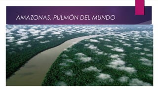 AMAZONAS, PULMÓN DEL MUNDO
 