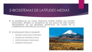 2-BIOSISTEMAS DE LATITUDES MEDIAS
 SE DESARROLLAN EN CLIMA TEMPLADO DONDE POSEEN LAS CUATRO
ESTACIONES, RECIBEN LA INFLUENCIA DE LAS MASAS DE AIRE CALIDO
PROVENIENTES DE LAS REGIONES TROPICALES, ASI COMO DE LS
CORRIENTES DE AIRE FRIO DE LOS POLOS.
 SE DISTINGUEN POR LO SIGUIENTE:
1. BOSQUE CADUCIFOLIO TEMPLADO
2. BOSQUE DE CONIFERAS (TAIGA)
3. ESTEPA (PRADERAS TEMPLADAS)
4. DESIERTOS TEMPLADOS
 