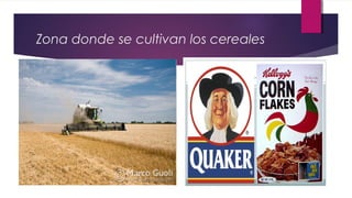 Zona donde se cultivan los cereales
 