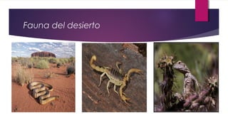 Fauna del desierto
 