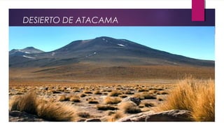 DESIERTO DE ATACAMA
 