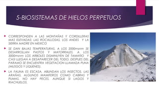 5-BIOSISTEMAS DE HIELOS PERPETUOS
 CORRESPONDEN A LAS MONTAÑAS Y CORDILLERAS
MAS ELEVADAS: LAS ROCALLOSAS, LOS ANDES Y LA
SIERRA MADRE EN MEXICO
 SE DAN BAJAS TEMPERATURAS, A LOS 2000msnm SE
DESARROLLAN PASTOS Y MATORRALES, A LOS
3000msnm LOS ARBOLES DISMINUYEN DE TAMAÑO Y
CASI LLEGAN A DESAPARECER DEL TODO, DESPUES DEL
PARAMO SE ENCUENTRA VEGETACION LLAMADA PUNA
(MUSGOS Y LIQUENES).
 LA FAUNA ES ESCASA, ABUNDAN LOS INSECTOS, LAS
ARAÑAS, ALGUNOS MAMIFEROS COMO CABRAS Y
PUMAS, NO HAY PECES, AUNQUE SI LAGOS Y
RIACHUELOS.
 
